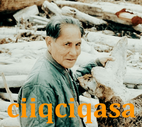 hyacinth ciiqciqasa_thumbnail.png